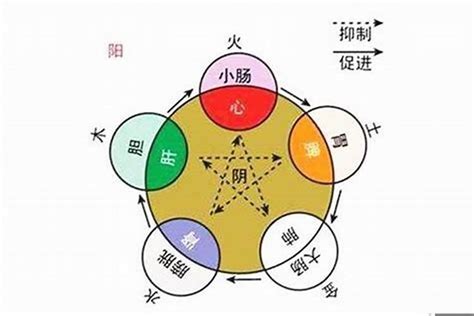 五行由來|五行